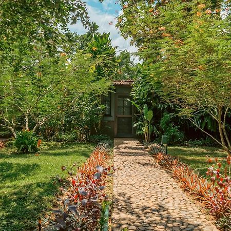 Sweet Songs Jungle Lodge San Ignacio Εξωτερικό φωτογραφία