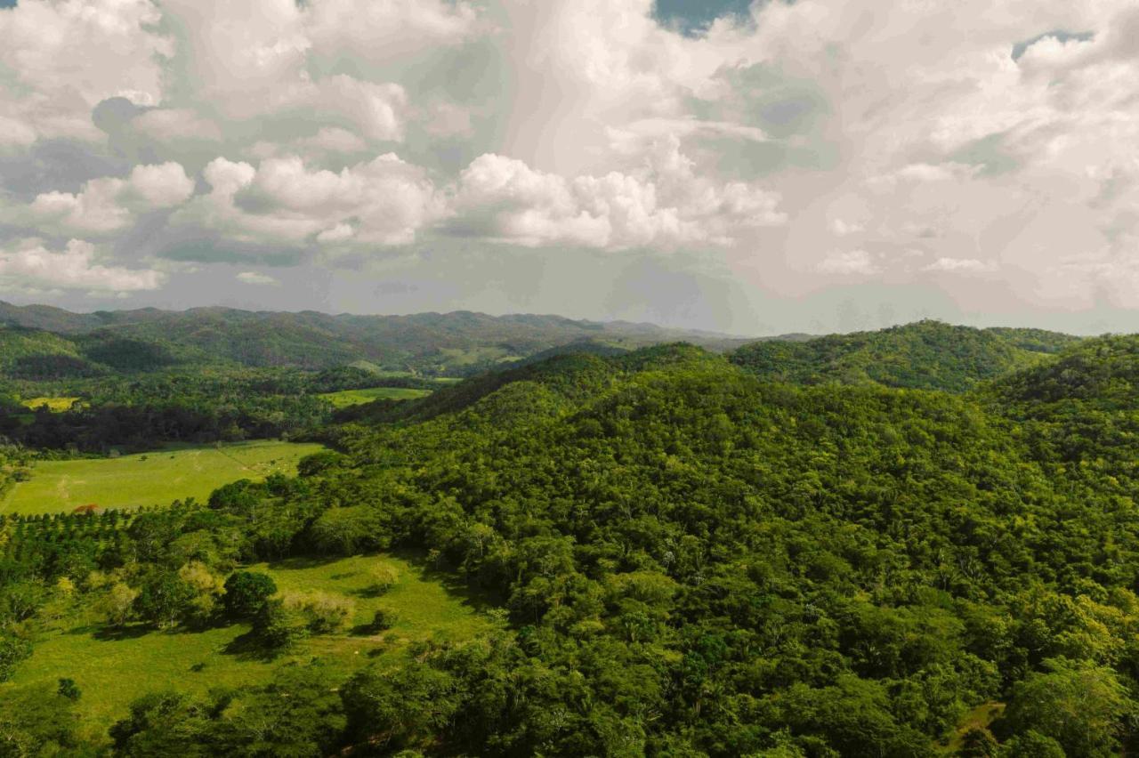 Sweet Songs Jungle Lodge San Ignacio Εξωτερικό φωτογραφία