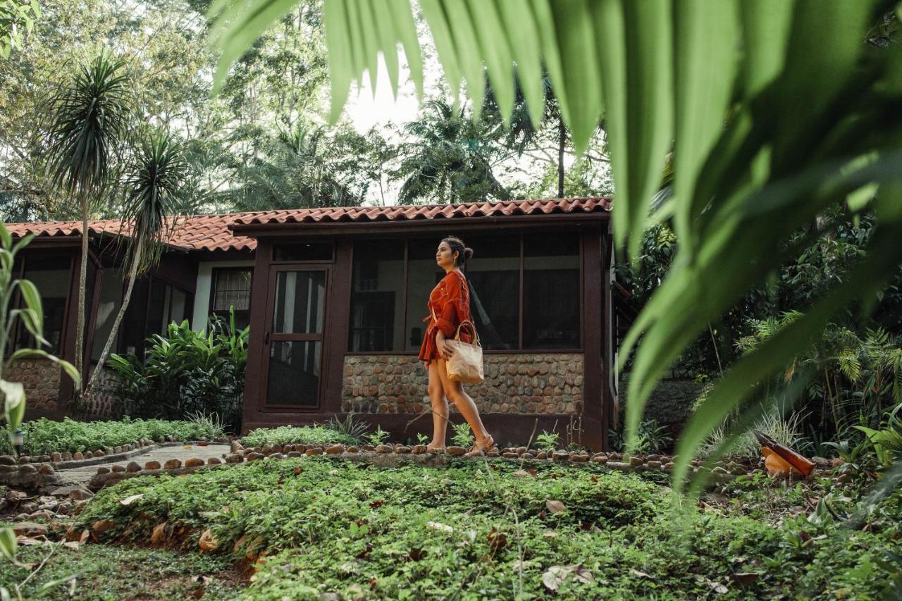Sweet Songs Jungle Lodge San Ignacio Εξωτερικό φωτογραφία