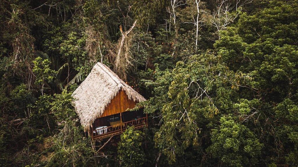 Sweet Songs Jungle Lodge San Ignacio Εξωτερικό φωτογραφία