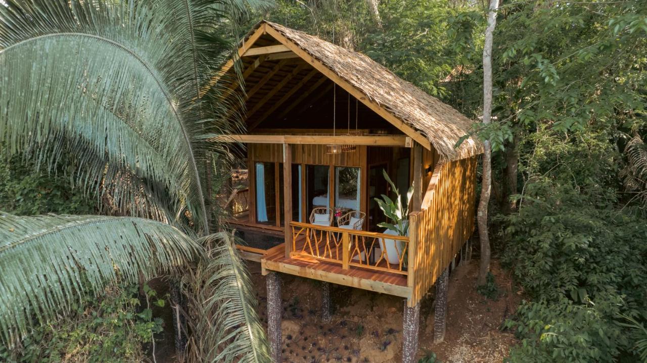 Sweet Songs Jungle Lodge San Ignacio Εξωτερικό φωτογραφία