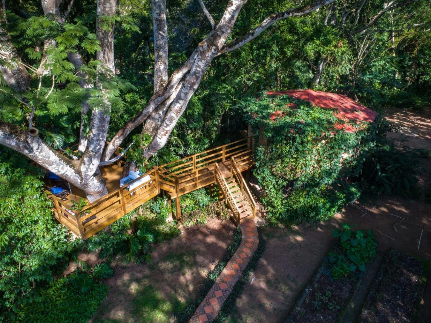 Sweet Songs Jungle Lodge San Ignacio Εξωτερικό φωτογραφία