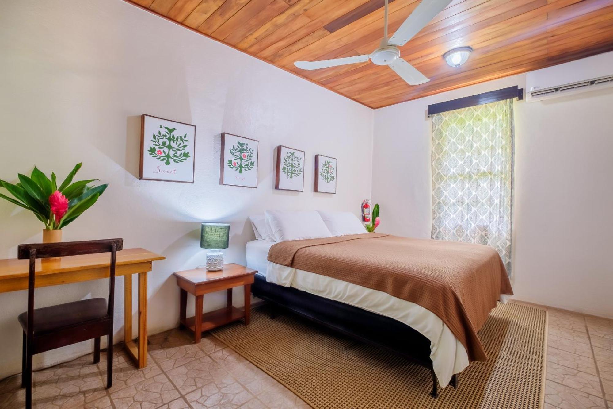 Sweet Songs Jungle Lodge San Ignacio Εξωτερικό φωτογραφία