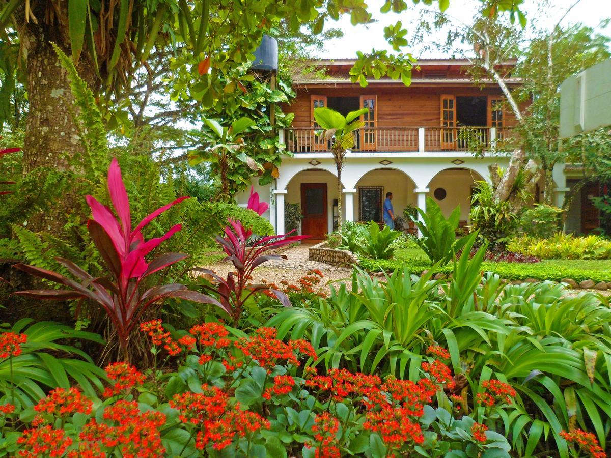 Sweet Songs Jungle Lodge San Ignacio Εξωτερικό φωτογραφία