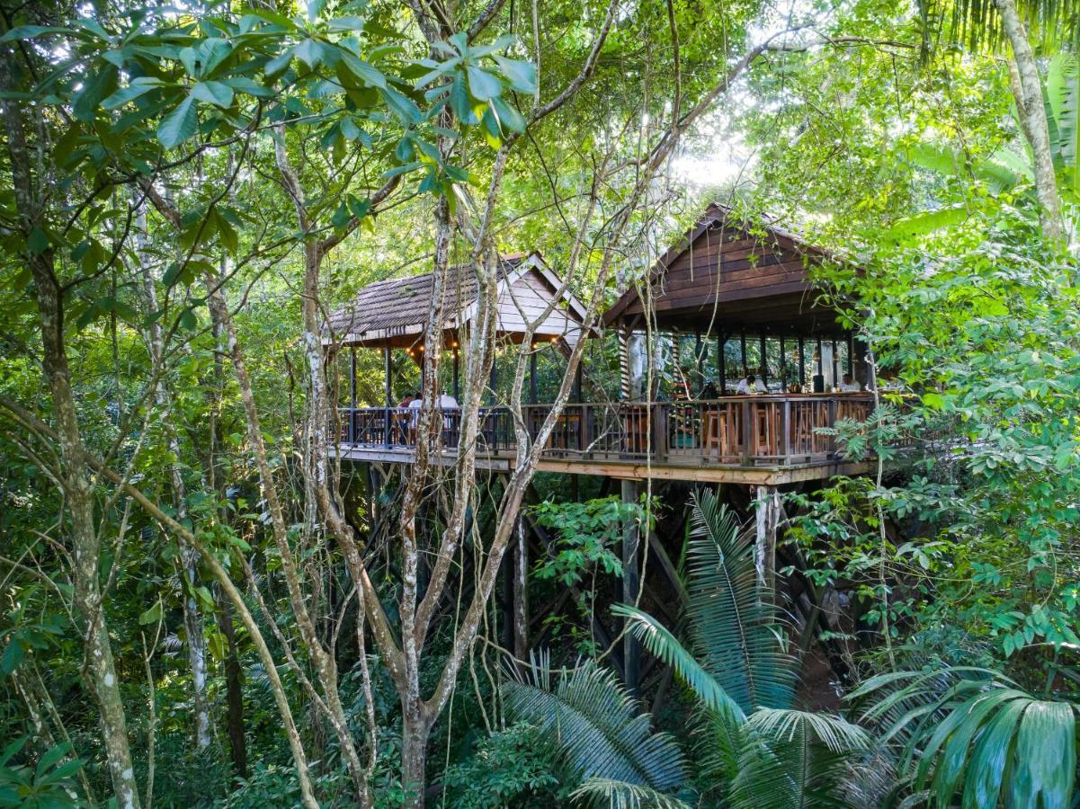 Sweet Songs Jungle Lodge San Ignacio Εξωτερικό φωτογραφία